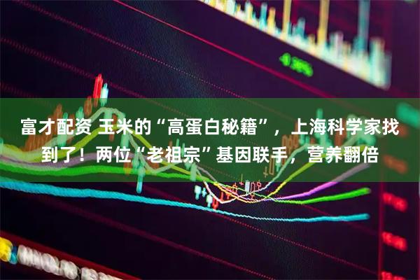 富才配资 玉米的“高蛋白秘籍”，上海科学家找到了！两位“老祖宗”基因联手，营养翻倍